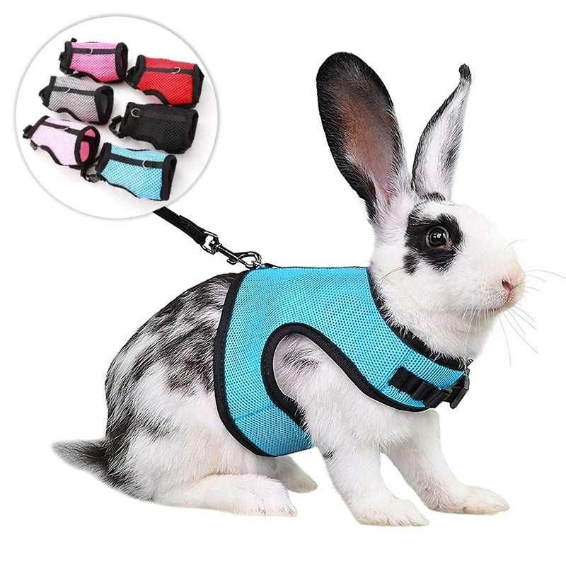Multi-Color Breathable Pet Carrier Vest