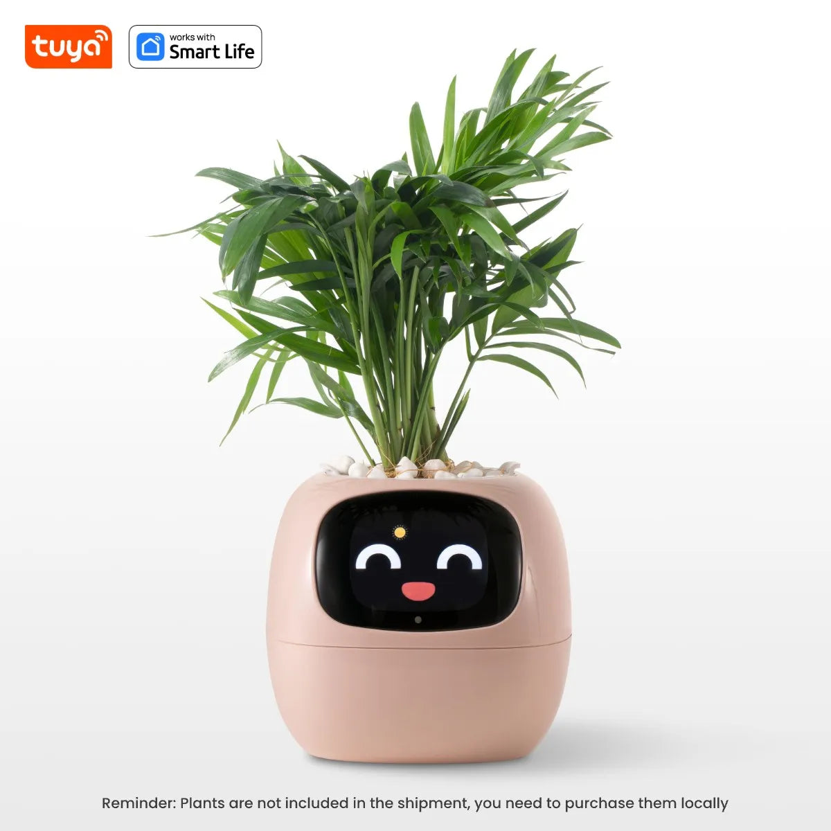 Tuya Ivy Smart Planter with Sensors