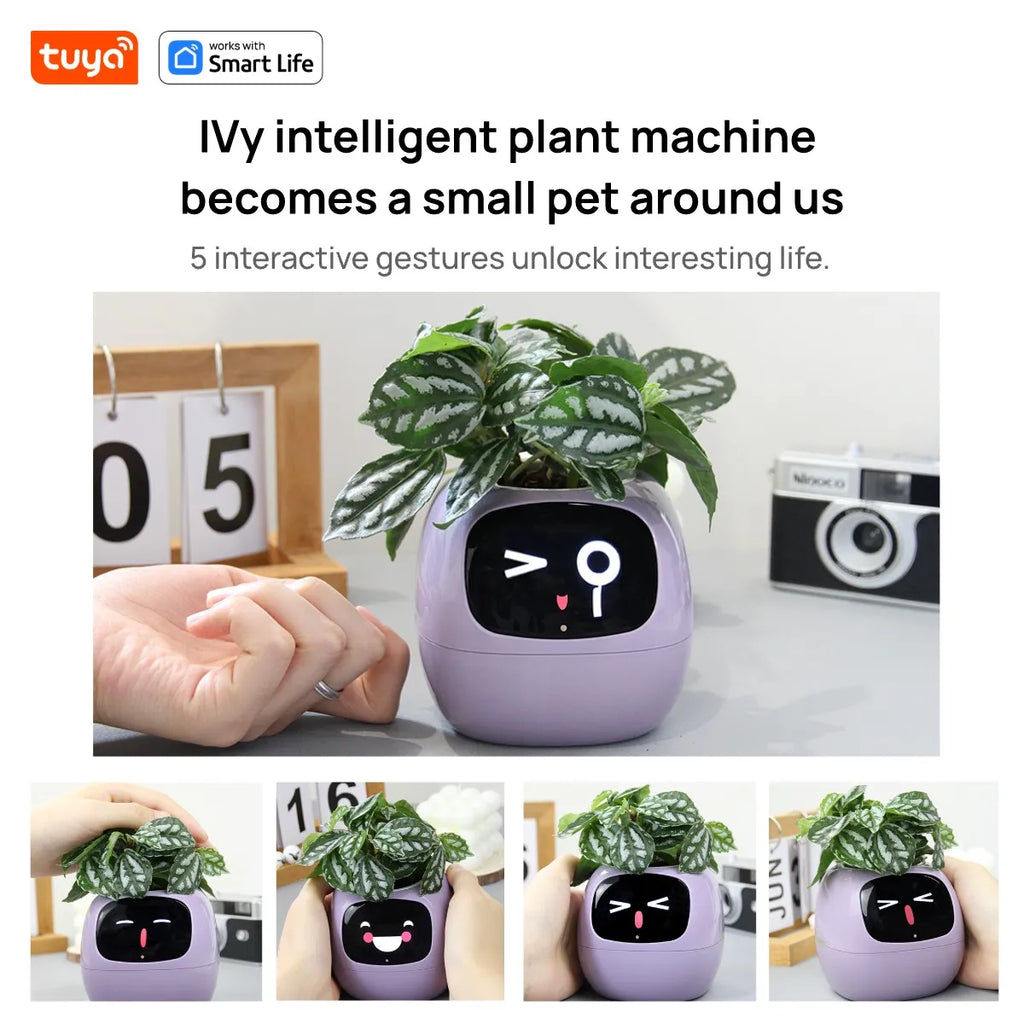 Tuya Ivy Smart Planter with Sensors