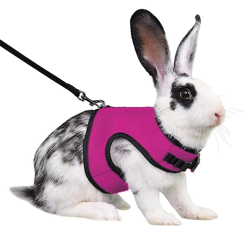 Multi-Color Breathable Pet Carrier Vest