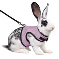 Multi-Color Breathable Pet Carrier Vest