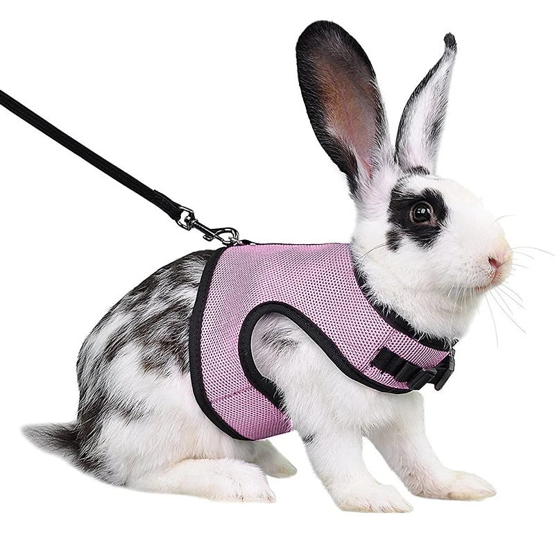 Multi-Color Breathable Pet Carrier Vest