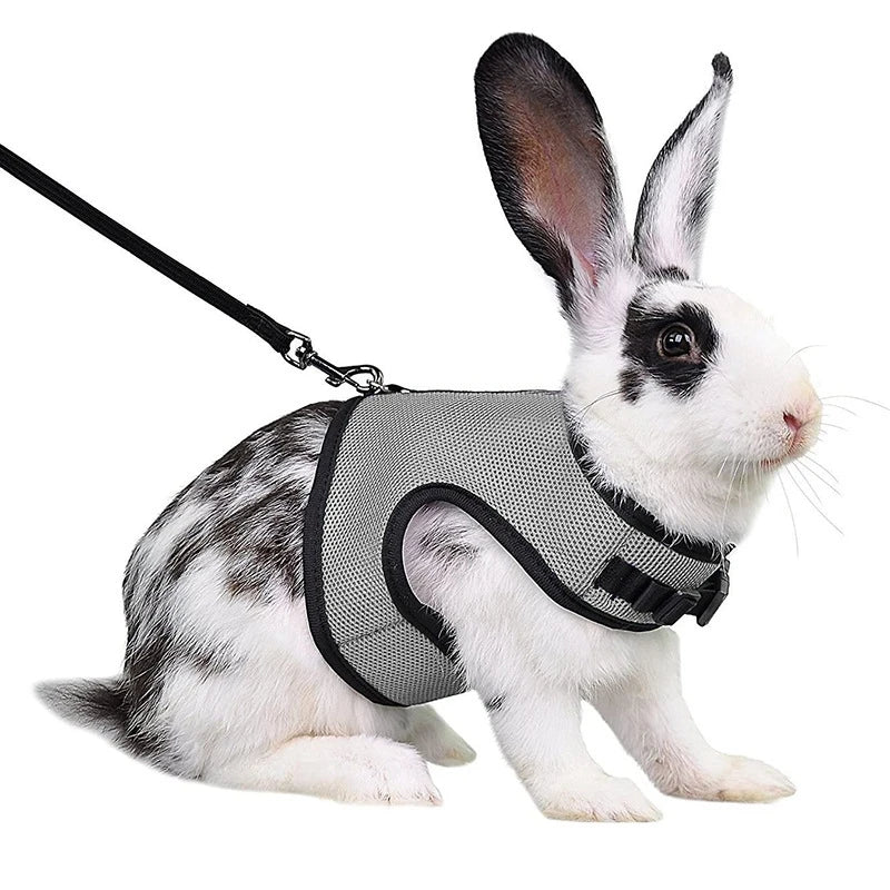 Multi-Color Breathable Pet Carrier Vest