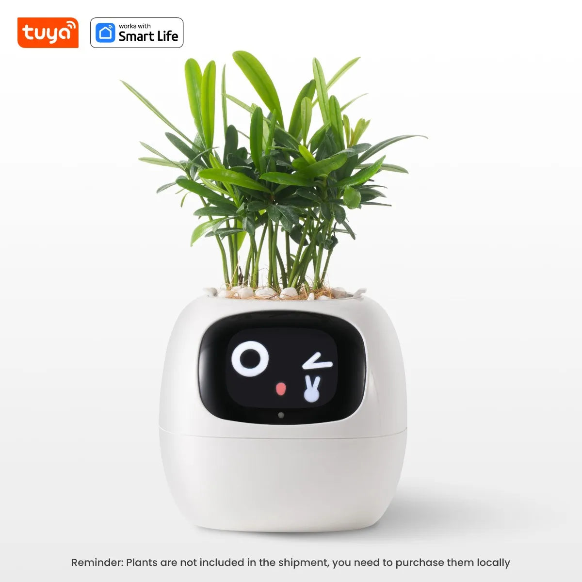 Tuya Ivy Smart Planter with Sensors