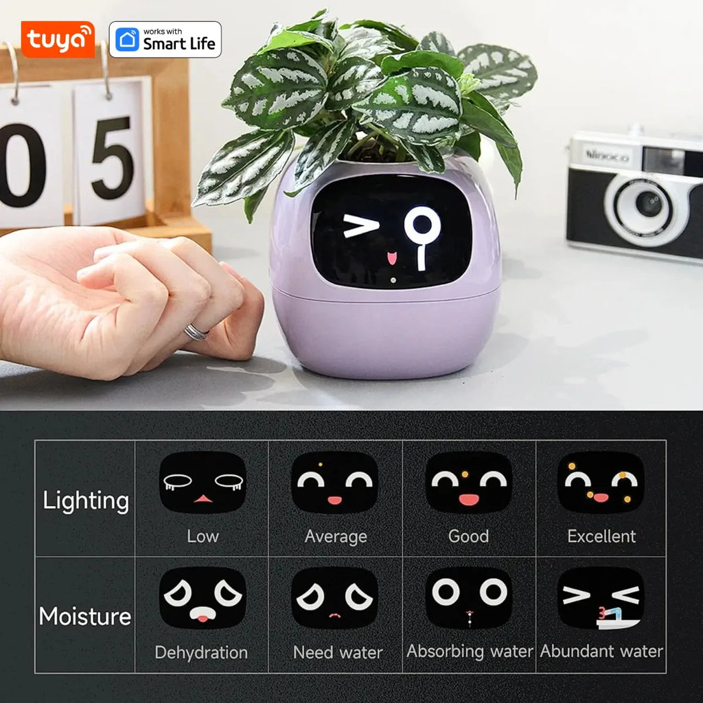 Tuya Ivy Smart Planter with Sensors