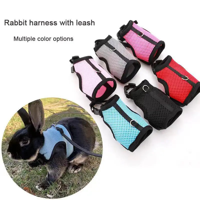 Multi-Color Breathable Pet Carrier Vest