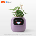 Tuya Ivy Smart Planter with Sensors