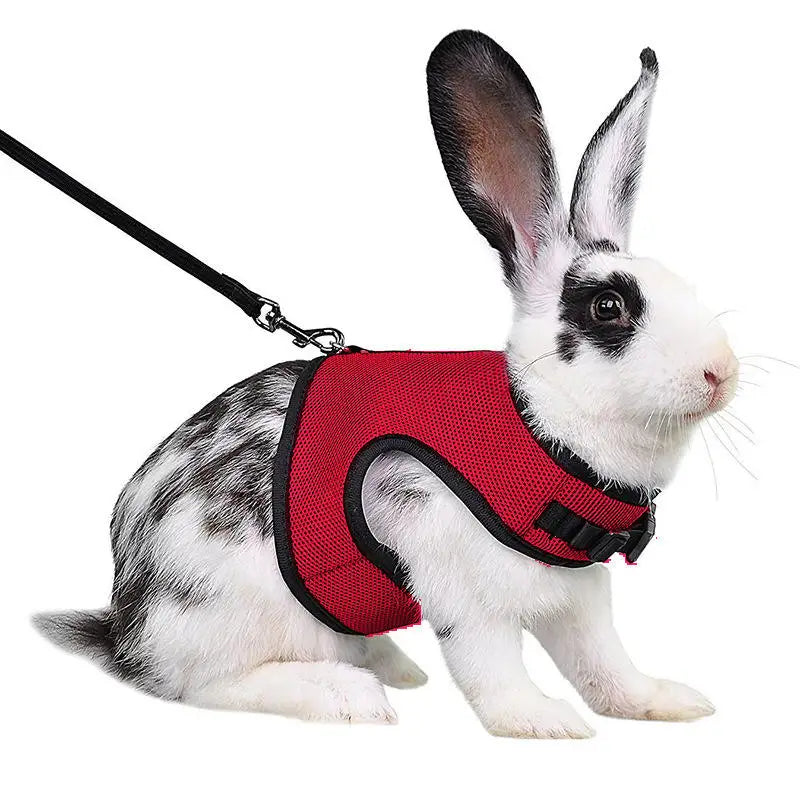 Multi-Color Breathable Pet Carrier Vest