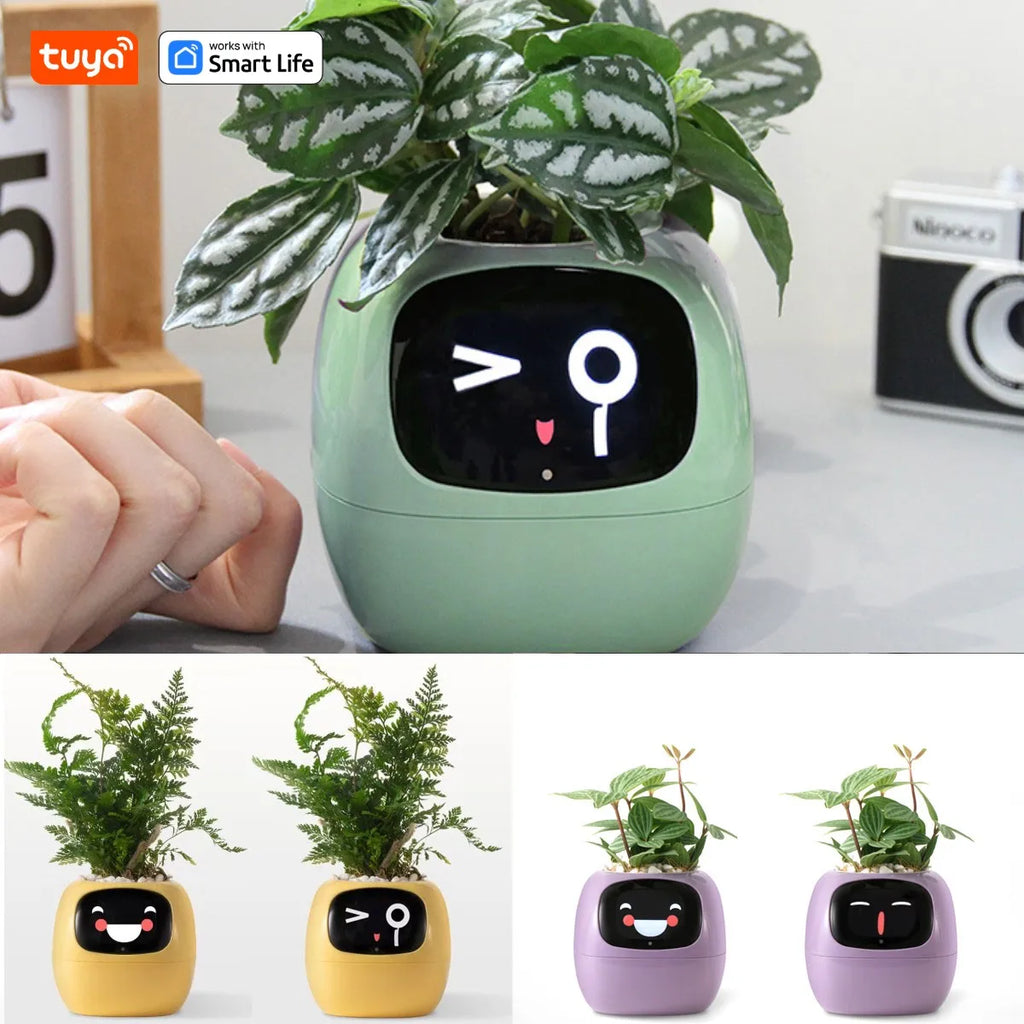 Tuya Ivy Smart Planter with Sensors